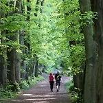 L'oree De Versailles